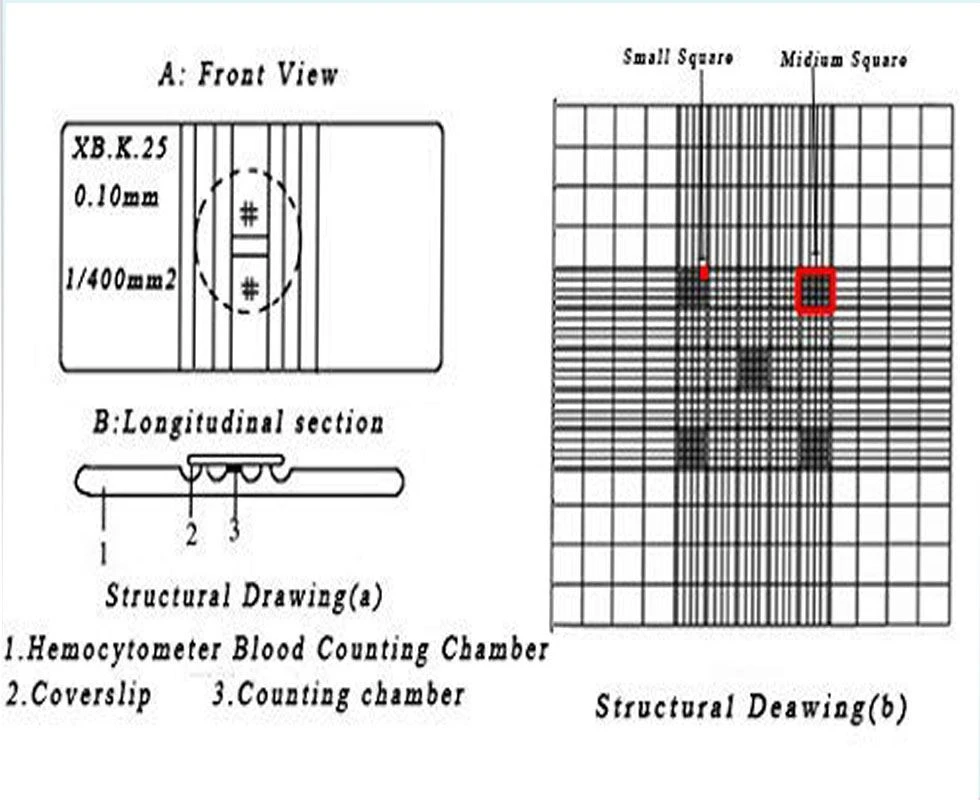 Bright Line Blood Counting Chamber Bright Line Blood Counting Chamber